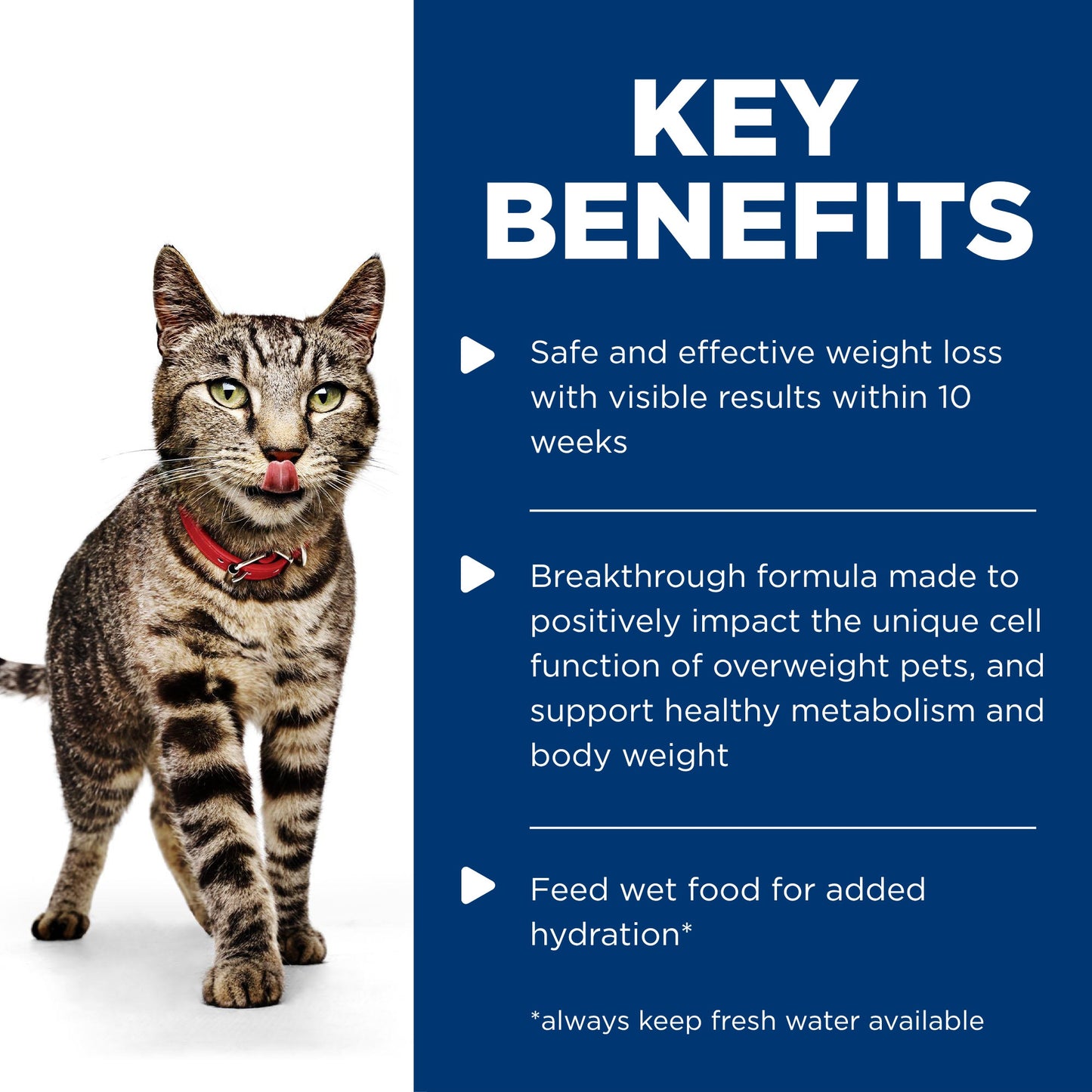 Hill's Science Diet Perfect Weight Adult Chicken Pouches Wet Cat Food