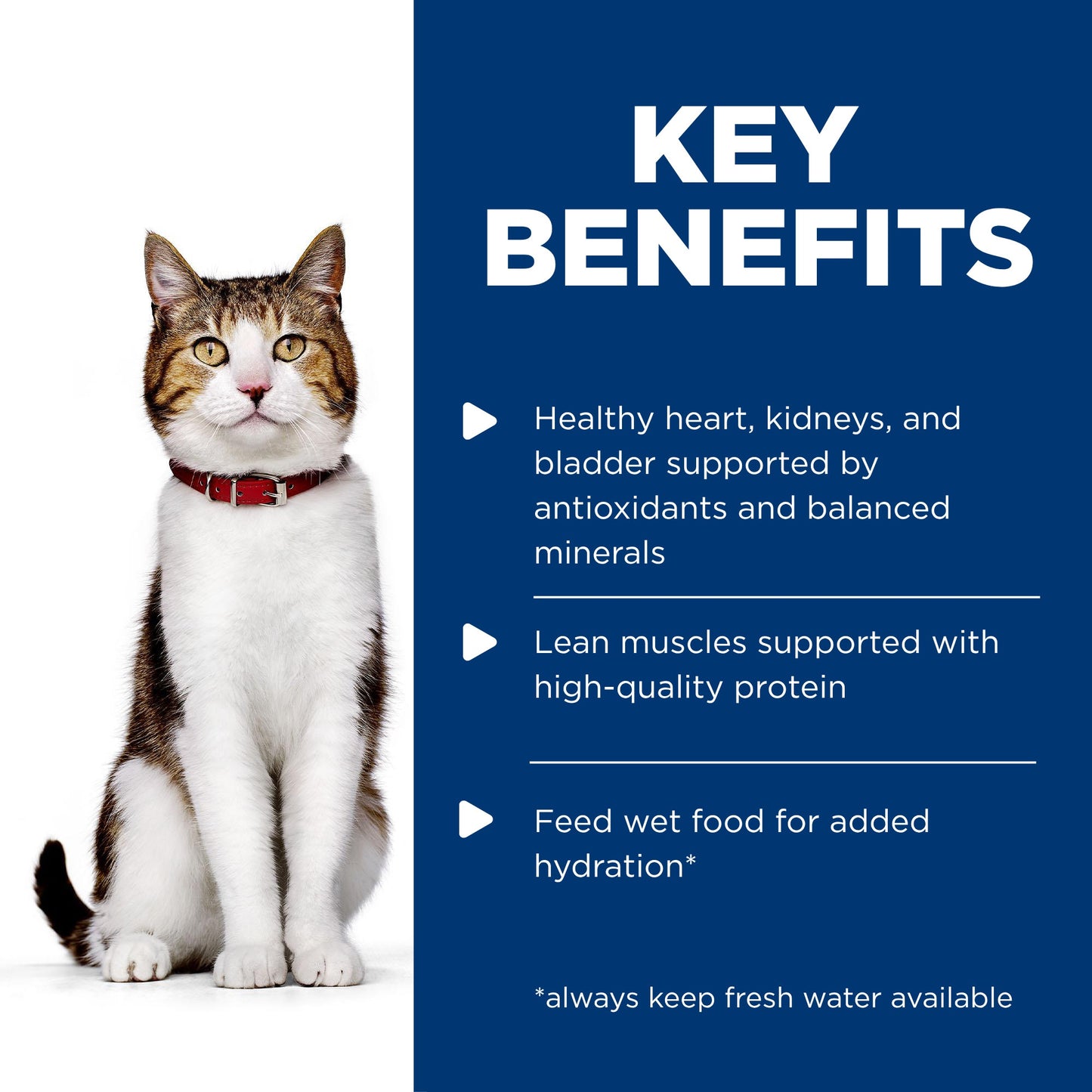 Hill's Science Diet 7+ Adult Chicken Pouches Wet Cat Food