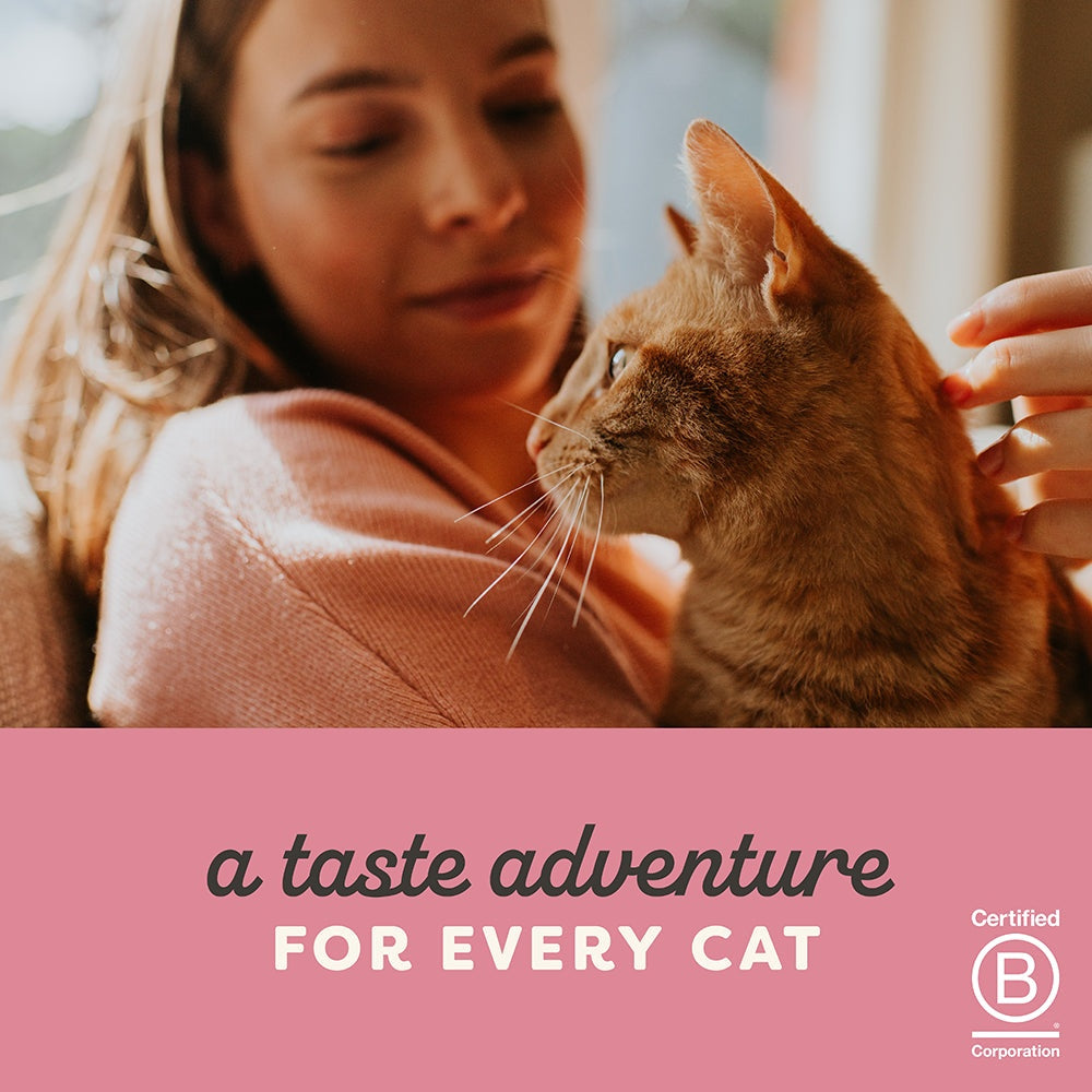 Applaws Natural Chicken Breast with Pumpkin in Broth  Wet Cat Food Pouch