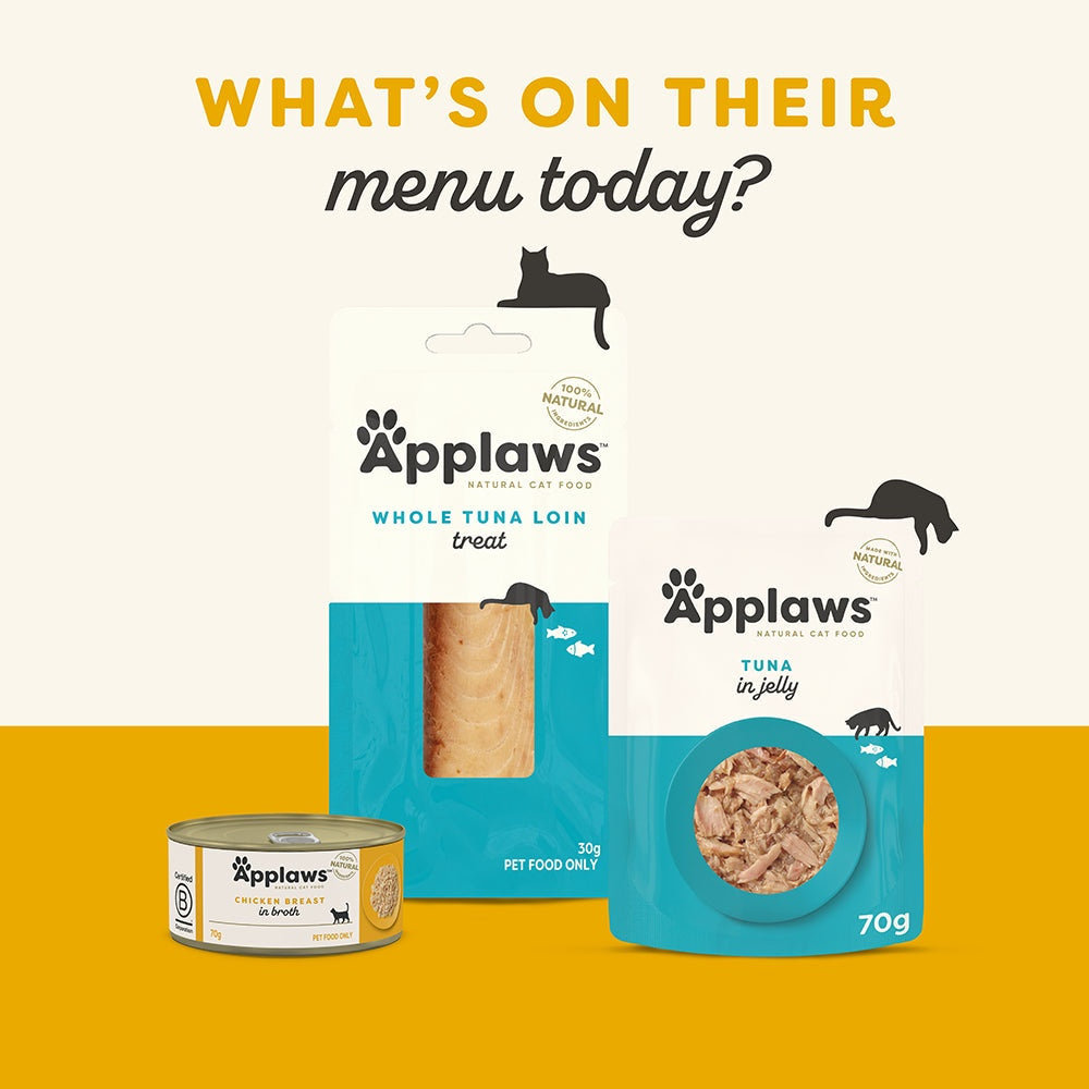 Applaws Natural Chicken Breast with Pumpkin in Broth  Wet Cat Food Pouch