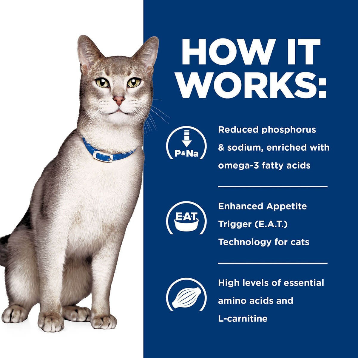 Hill's Prescription Diet K/D Kidney Care Pate With Chicken Wet Cat Food