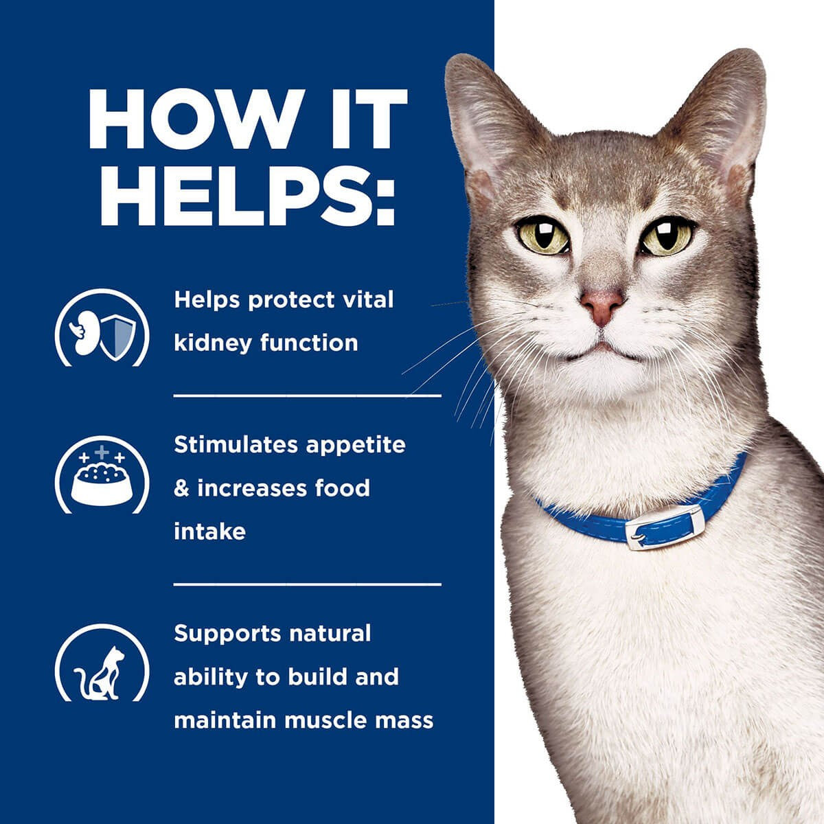 Hill's Prescription Diet K/D Kidney Care Pate With Chicken Wet Cat Food