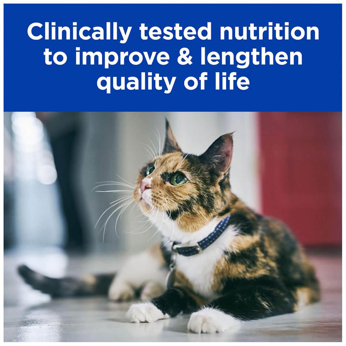 Hill's Prescription Diet K/D Kidney Care Salmon Wet Cat Food