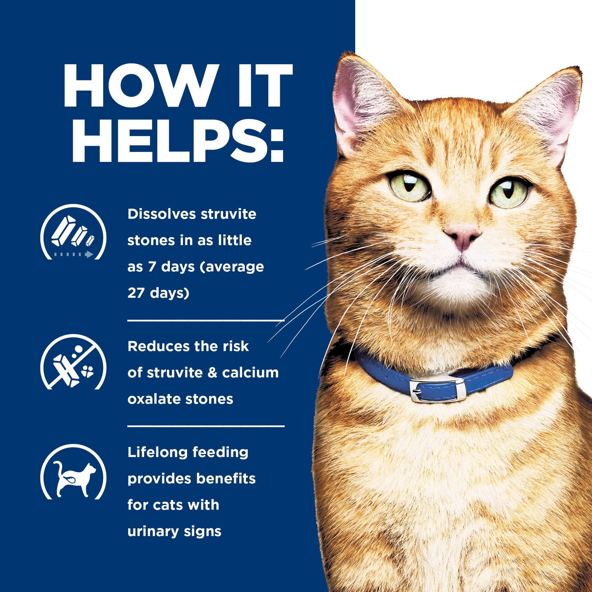 Hill's Prescription Diet C/D Urinary Care Chicken Wet Cat Food