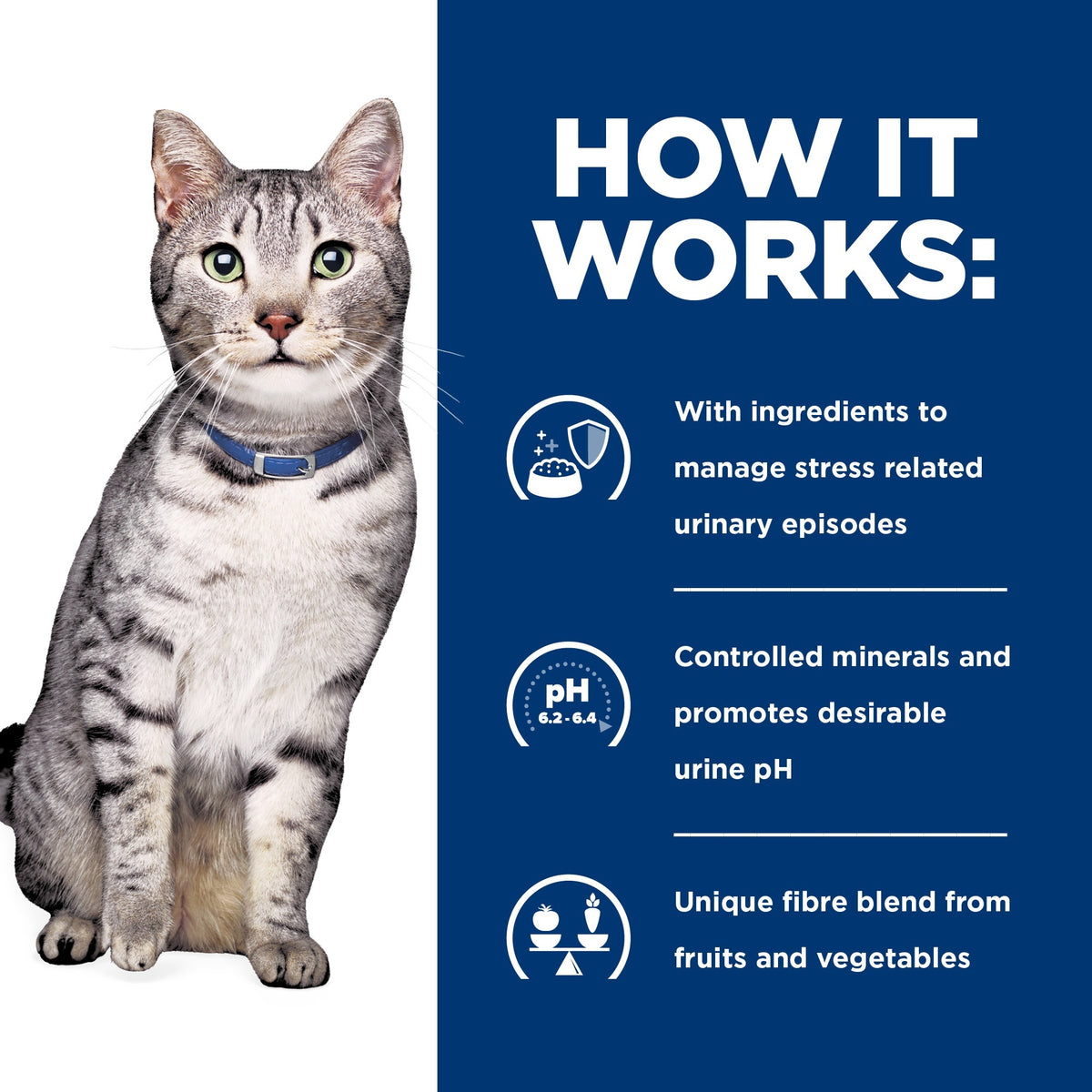 Hill's Prescription Diet C/D Stress Urinary & Metabolic Weight Care Chicken Wet Cat Food