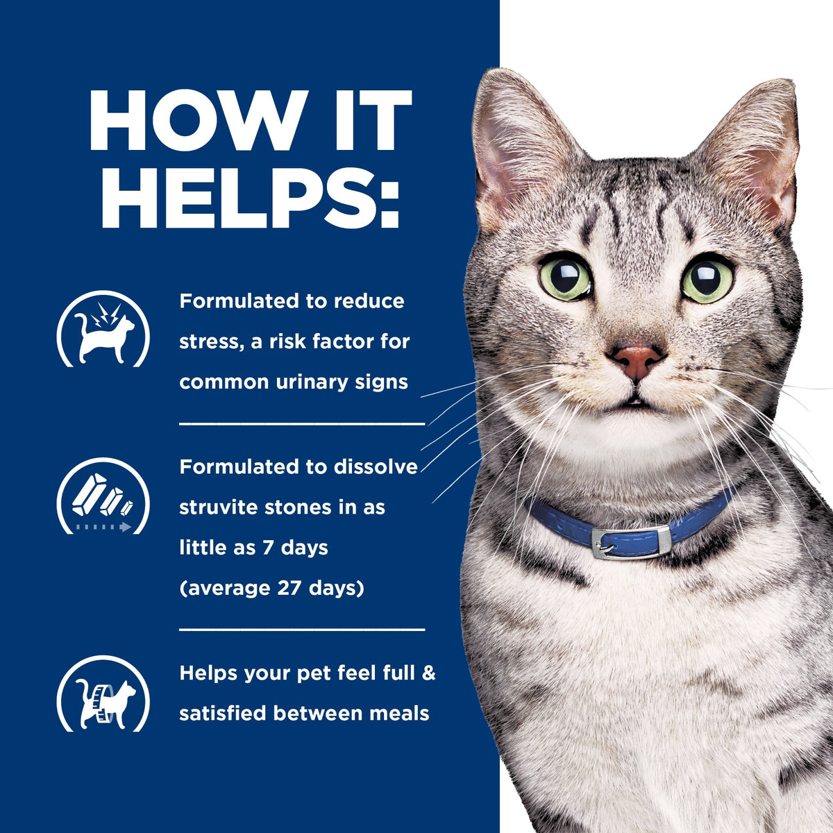 Hill's Prescription Diet C/D Stress Urinary & Metabolic Weight Care Chicken Wet Cat Food