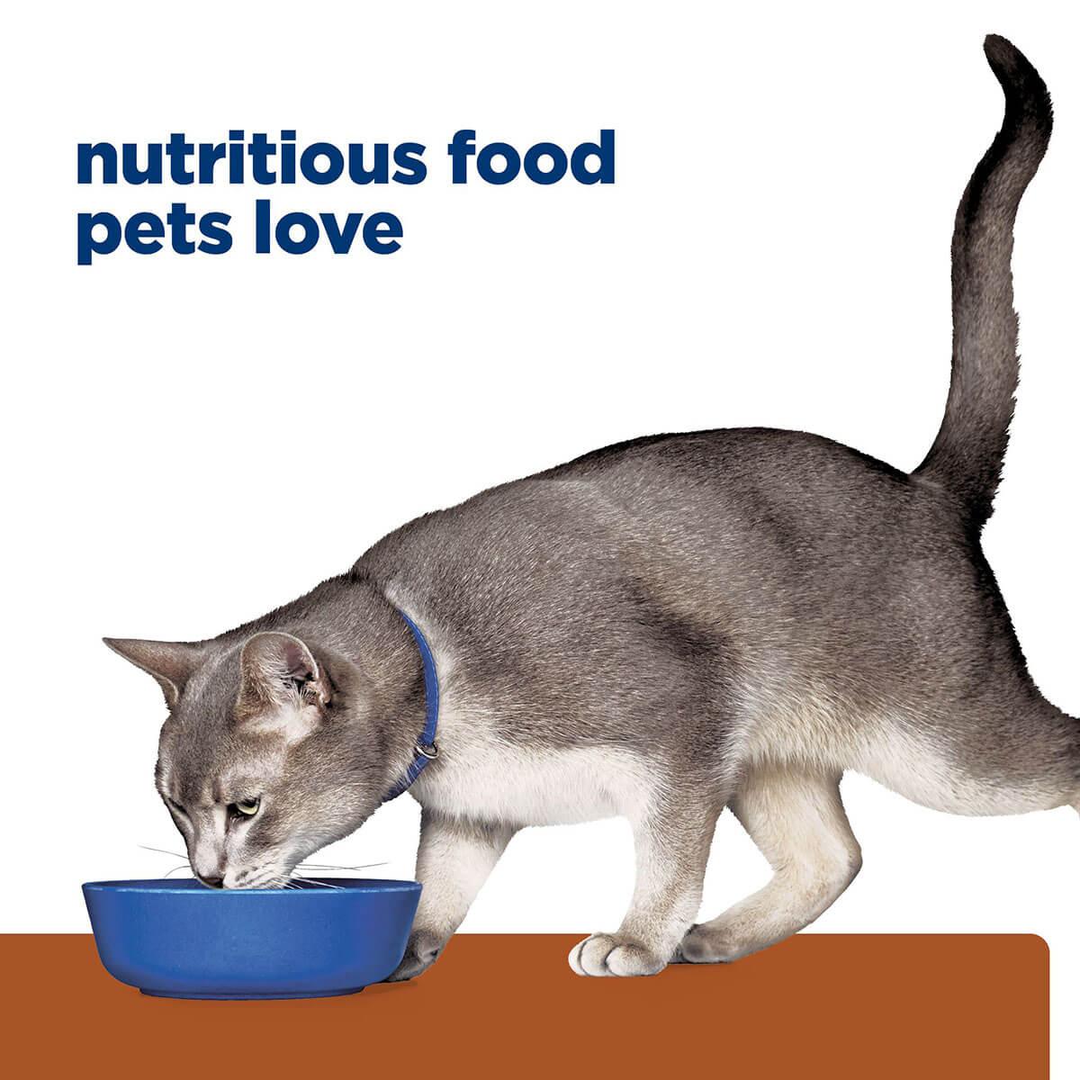 Hill's Prescription Diet K/D Kidney Care Chicken & Vegetable Stew Wet Cat Food