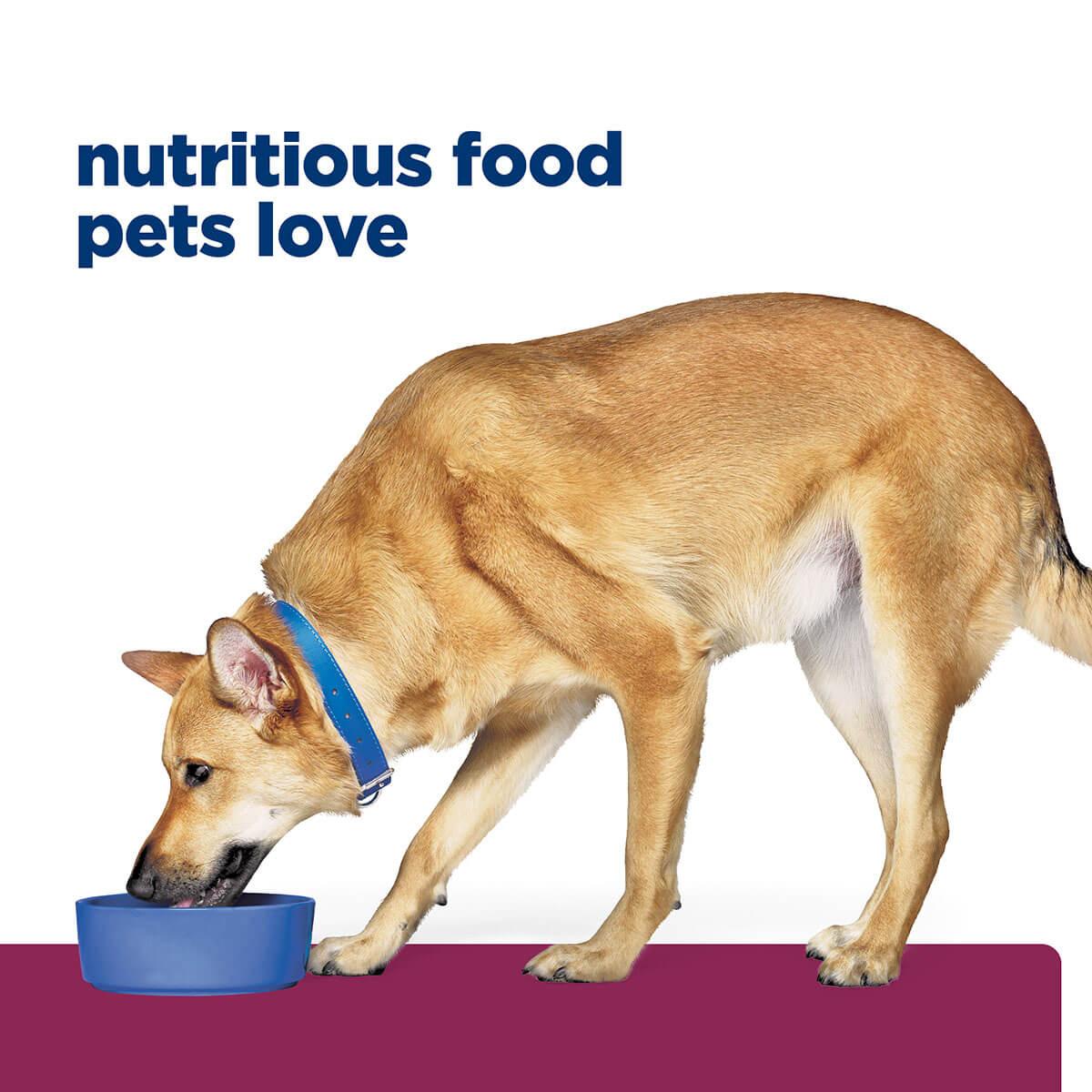 Hill's Prescription Diet I/D Digestive Care Chicken & Vegetable Stew Wet Dog Food
