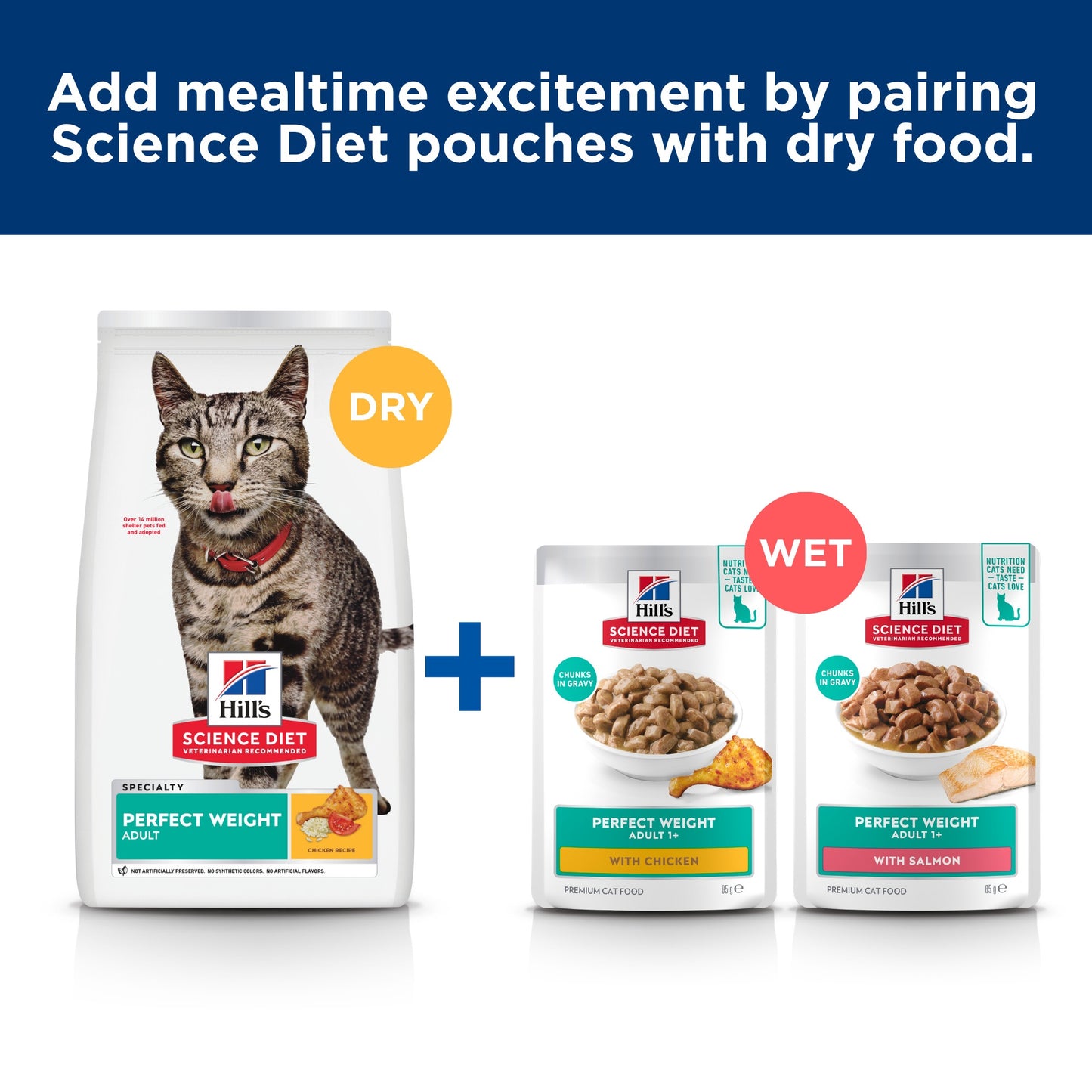 Hill's Science Diet Perfect Weight Adult Salmon Wet Cat Food