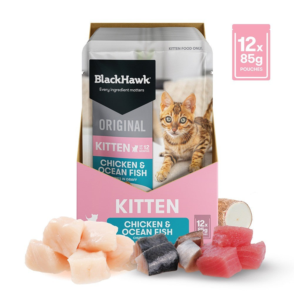 Black Hawk Original Kitten Food Chicken Oceanfish in Gravy