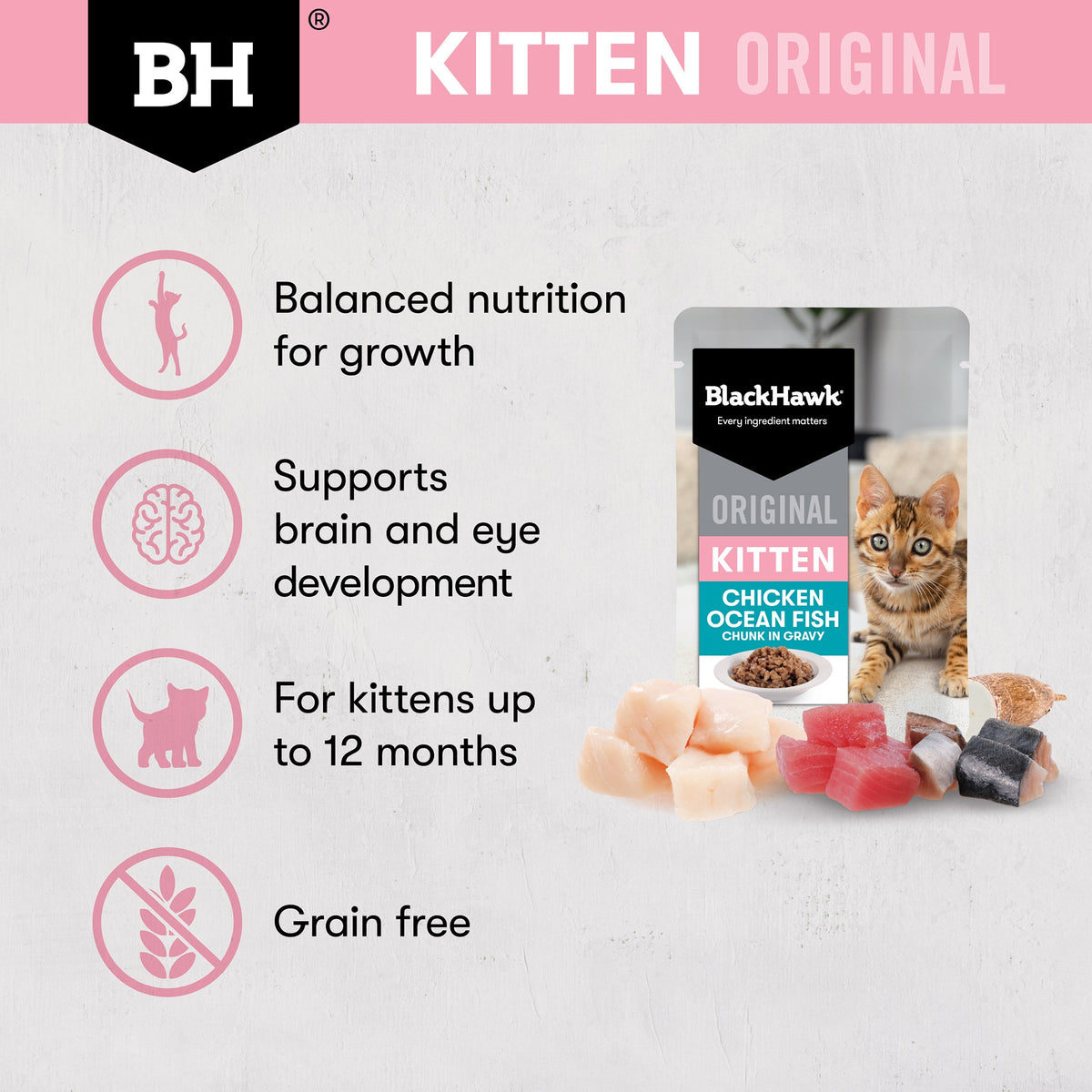 Black Hawk Original Kitten Food Chicken Oceanfish in Gravy