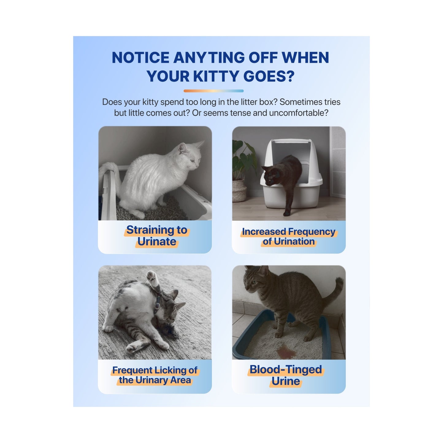 Michu Health Monitoring Tofu Clumping Cat Litter