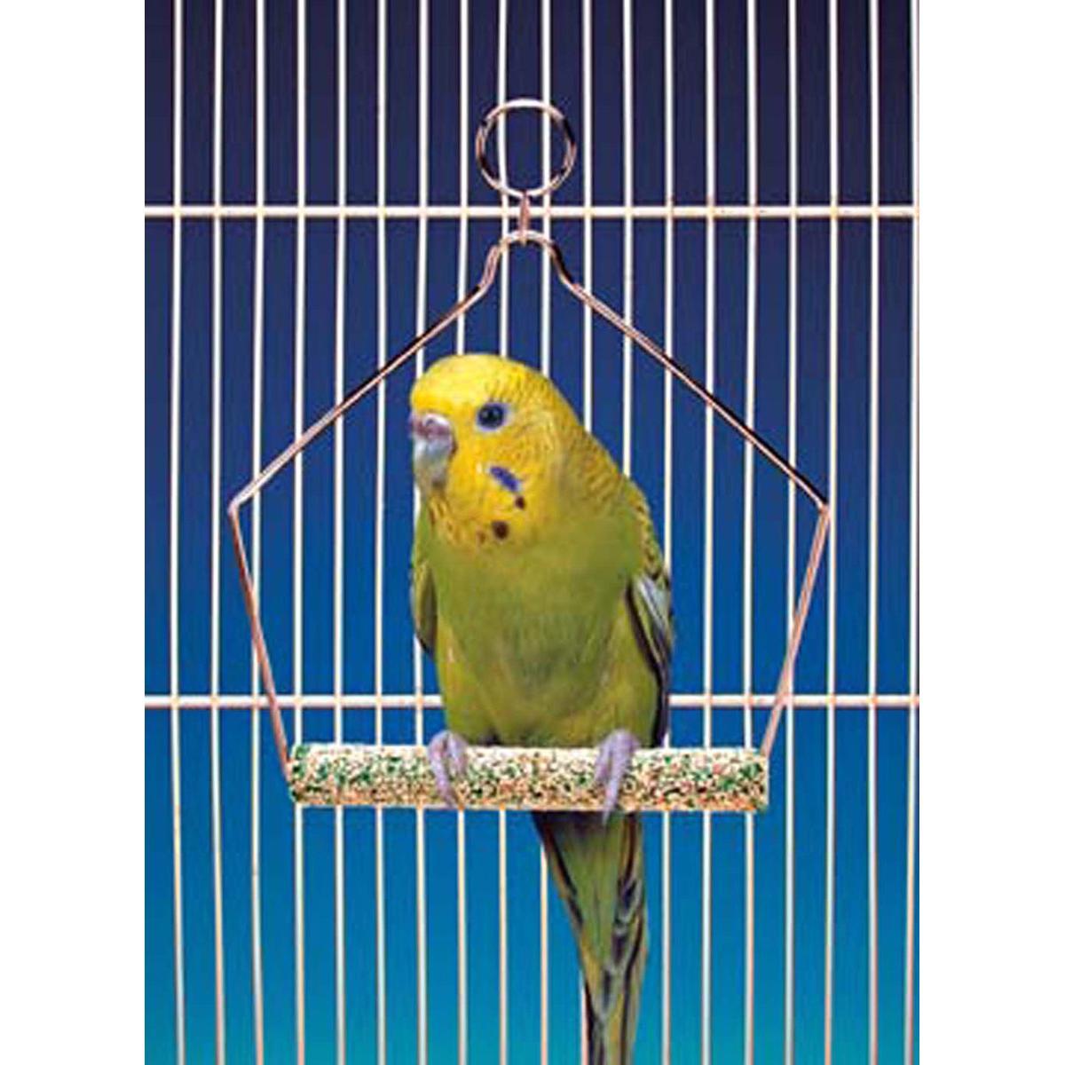 Cement Bird Swing with Wire Frame