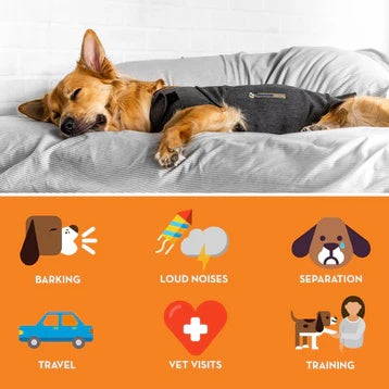 Thundershirt Anti Anxiety Shirt for Dogs