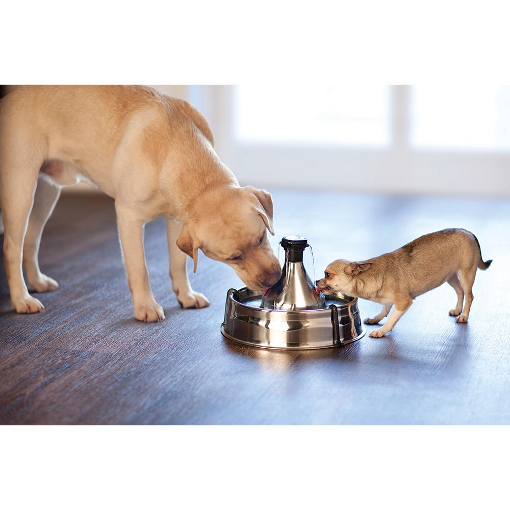 Drinkwell 360 Stainless Steel Pet Fountain