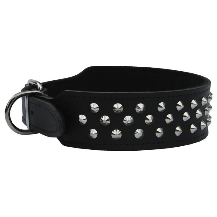 BEAU Pets Leather Staffy Studded Dog Collar