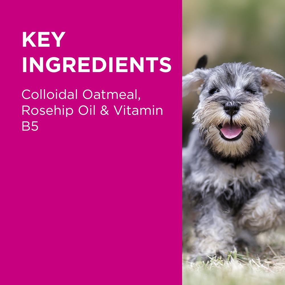 PAW NutriDerm Replenishing Dog Shampoo