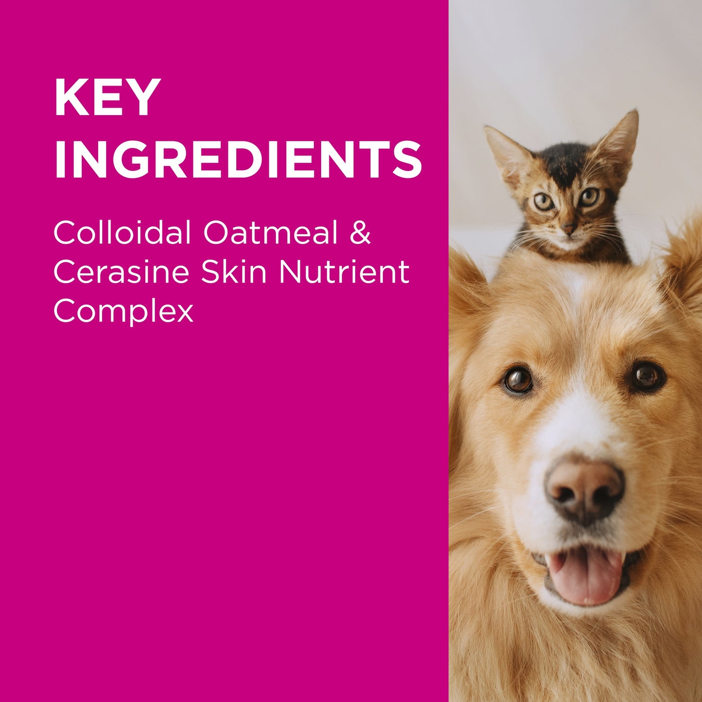 PAW NutriDerm Replenishing Conditioner 200ml