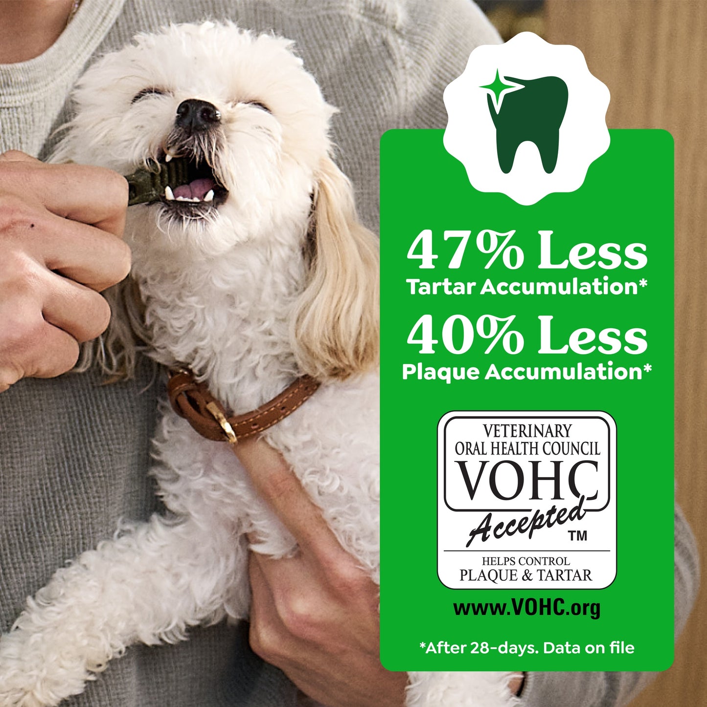 Greenies Regular Dental Chews For Medium Dogs Treats
