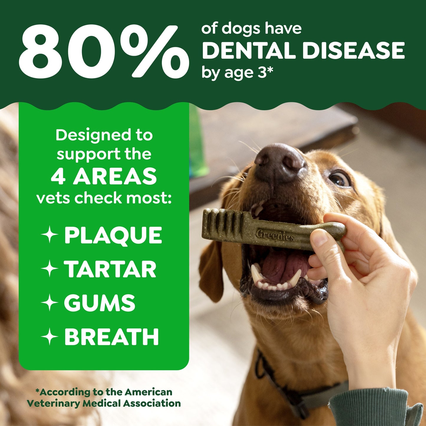Greenies Large Breed Dental Care Dog Treats Pack 340g