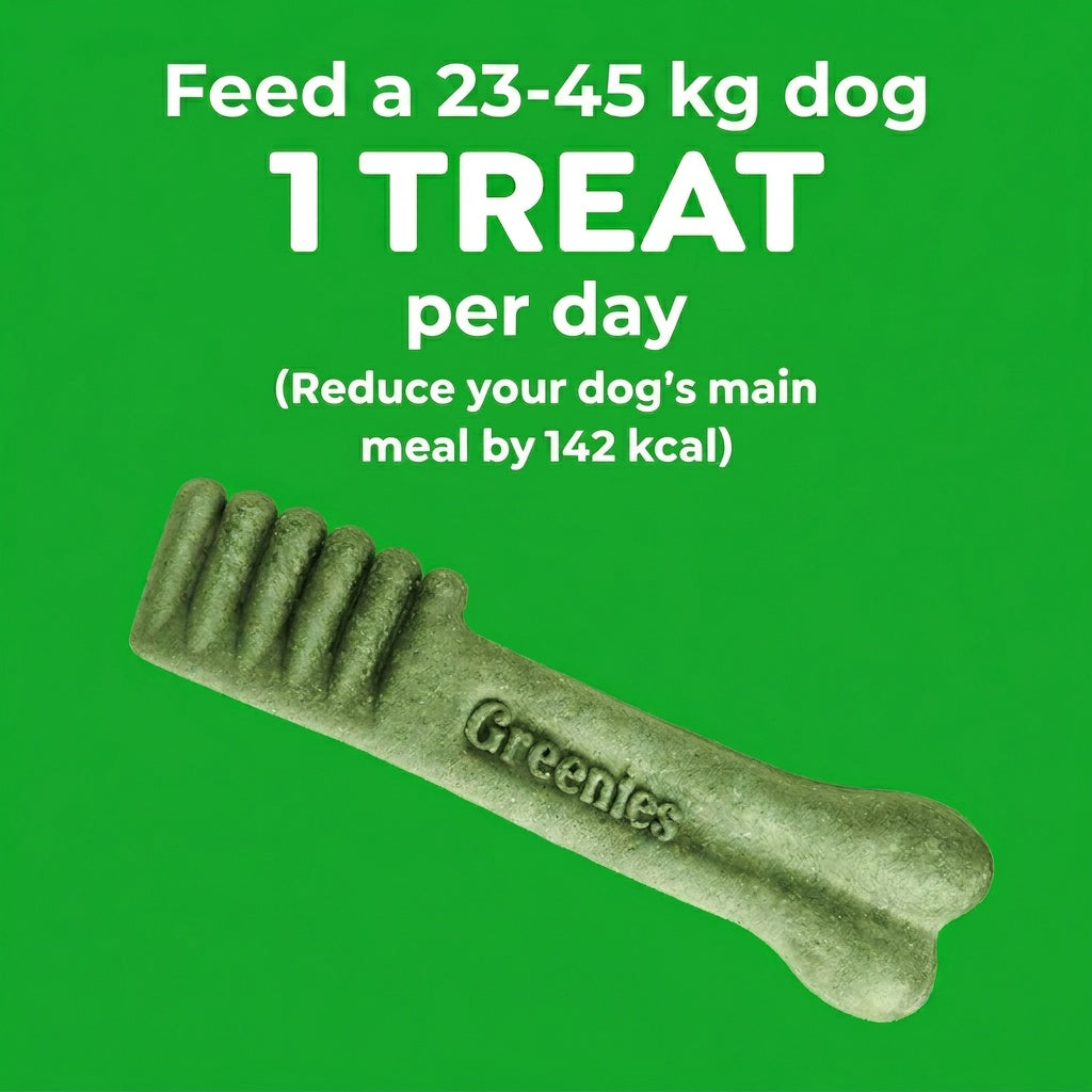 Greenies Large Breed Dental Care Dog Treats Pack 340g