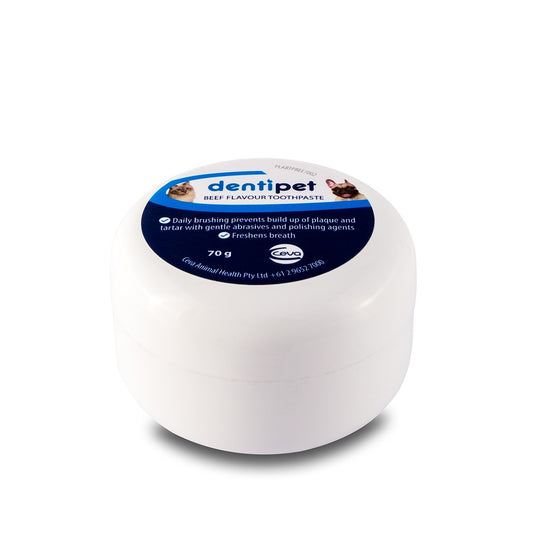 Dentipet Beef Flavoured Toothpaste for Cats & Dogs
