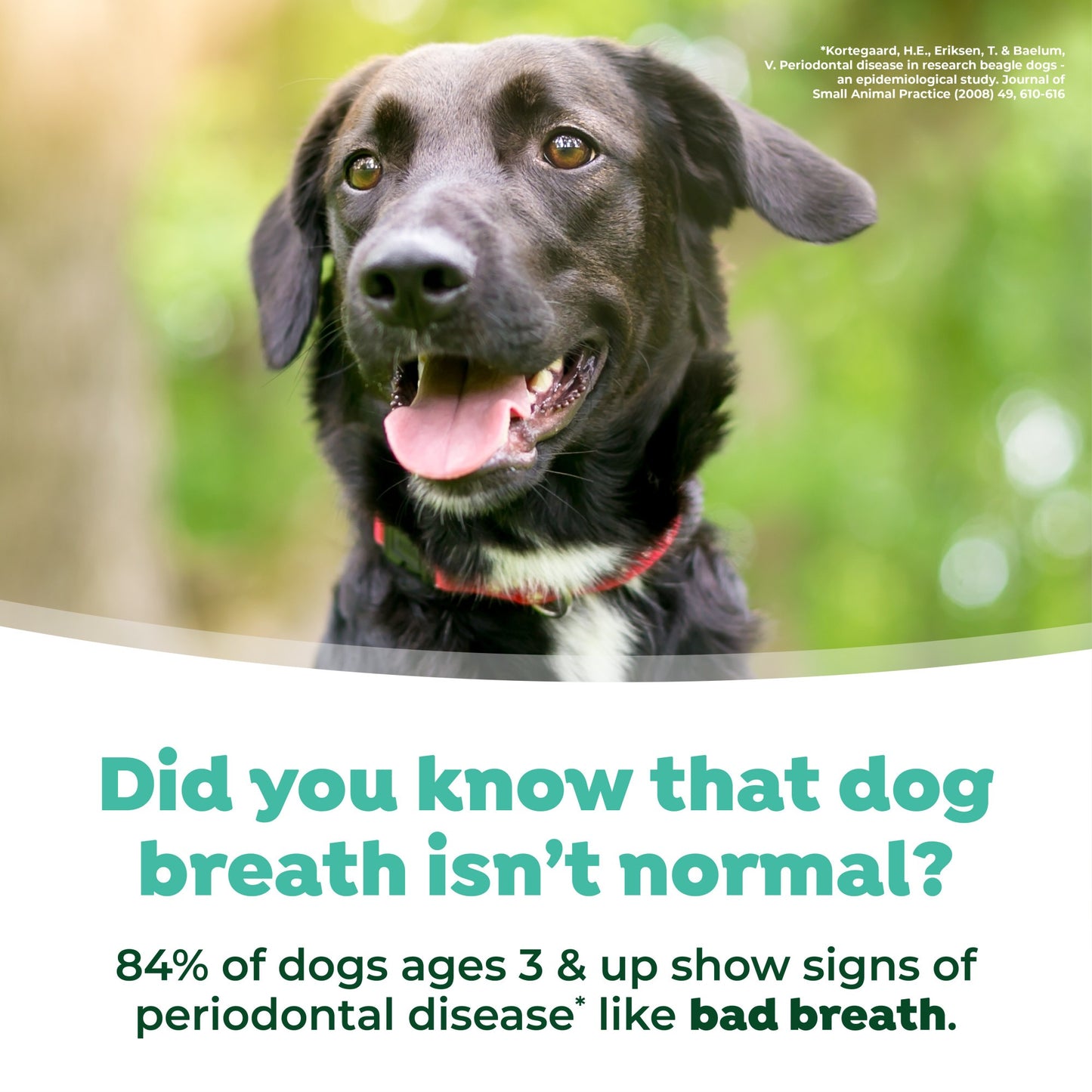 TropiClean Fresh Breath Dental Health Solution for Dogs