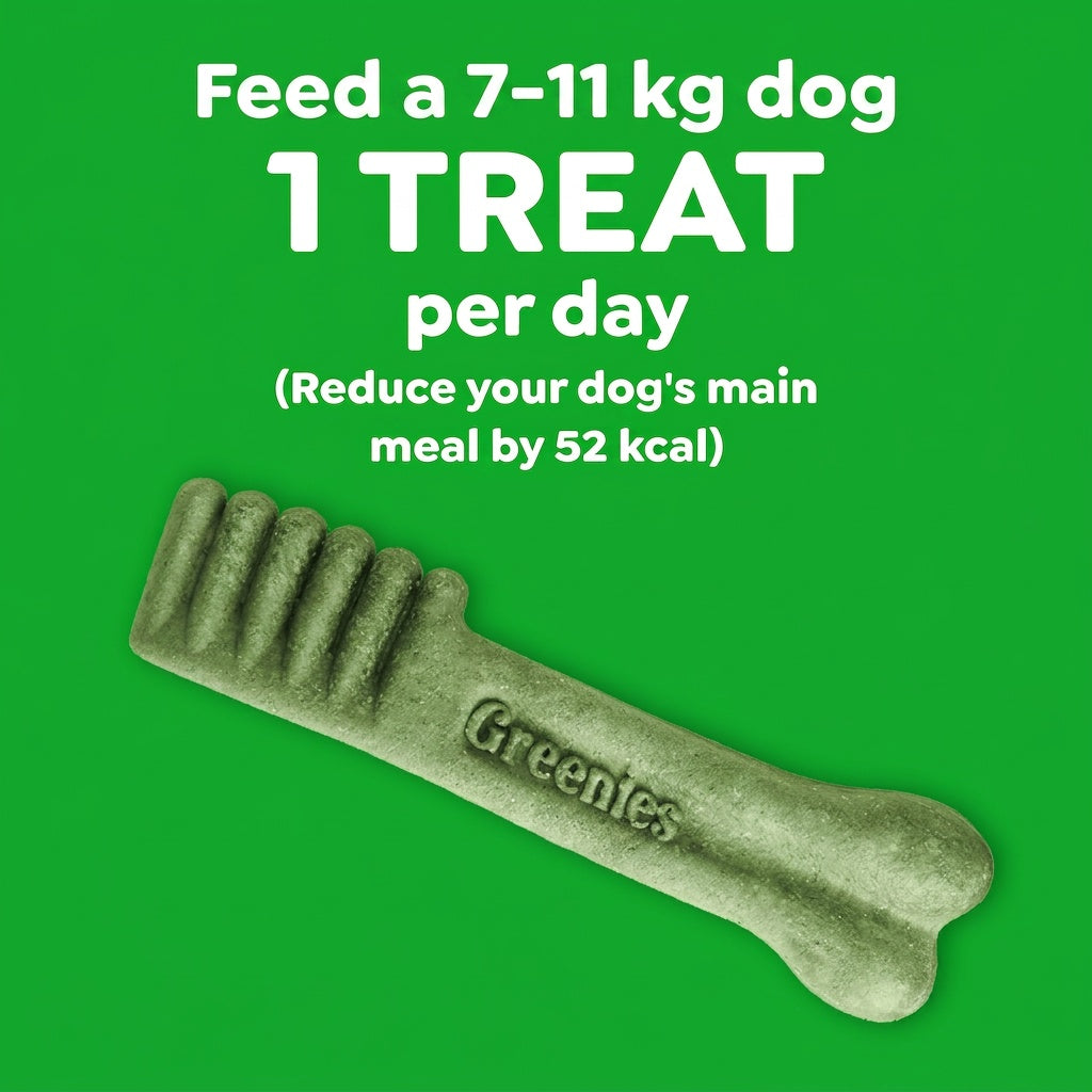 Greenies Blueberry Petite Dental Chews Dog Treats 340G