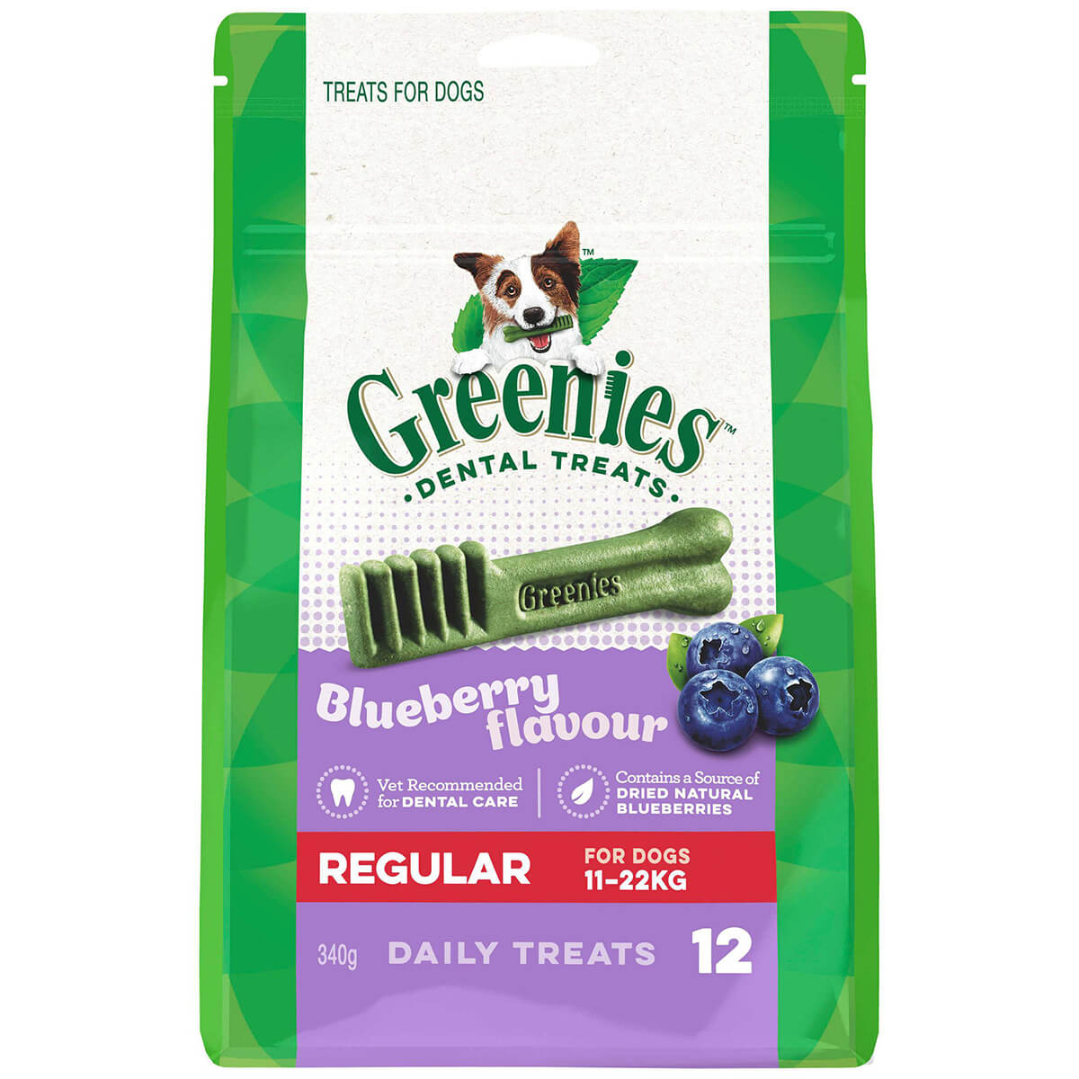 Greenies Blueberry Regular Dental Chews Dog Treats 340G