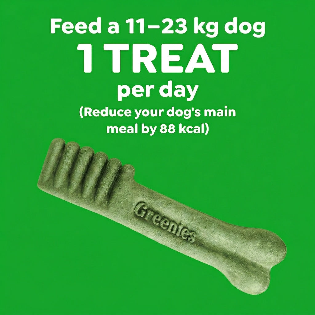 Greenies Blueberry Regular Dental Chews Dog Treats 340G