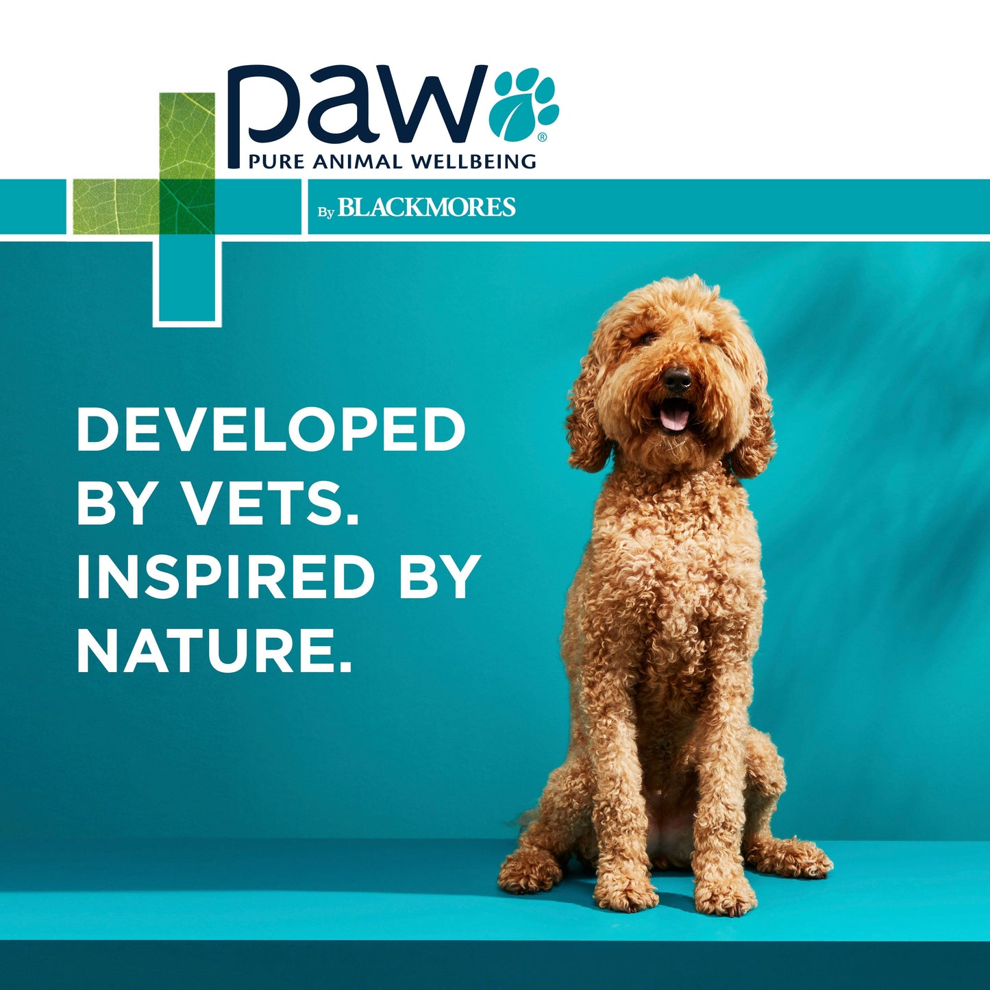 PAW DigestiCare 150g