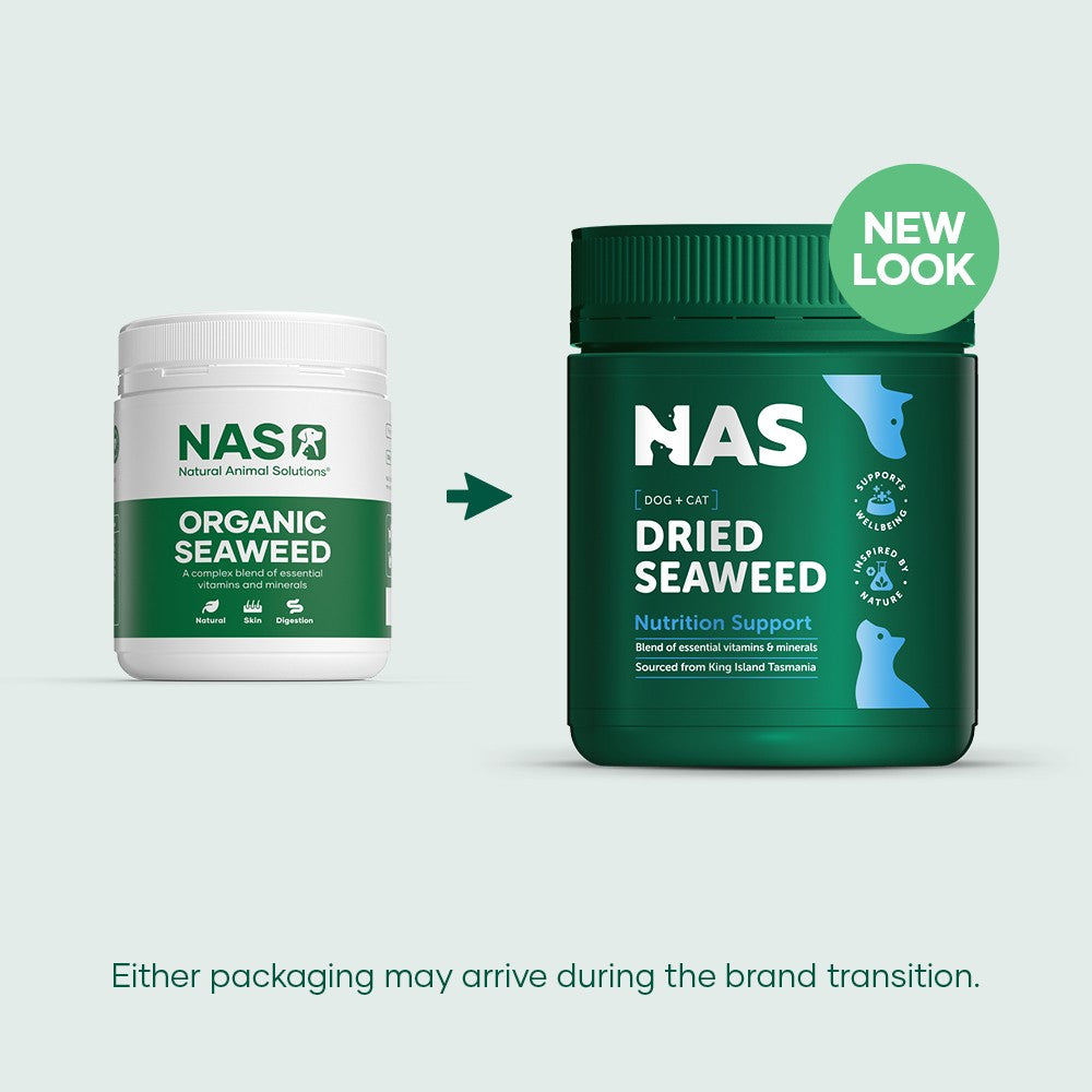 NAS Dried Seaweed Dog & Cat Supplement
