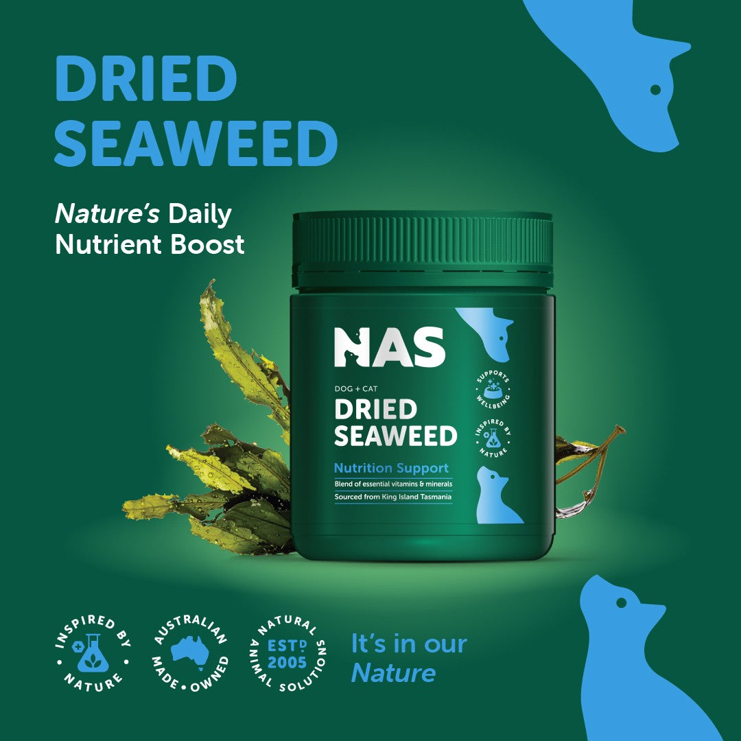 NAS Dried Seaweed Dog & Cat Supplement