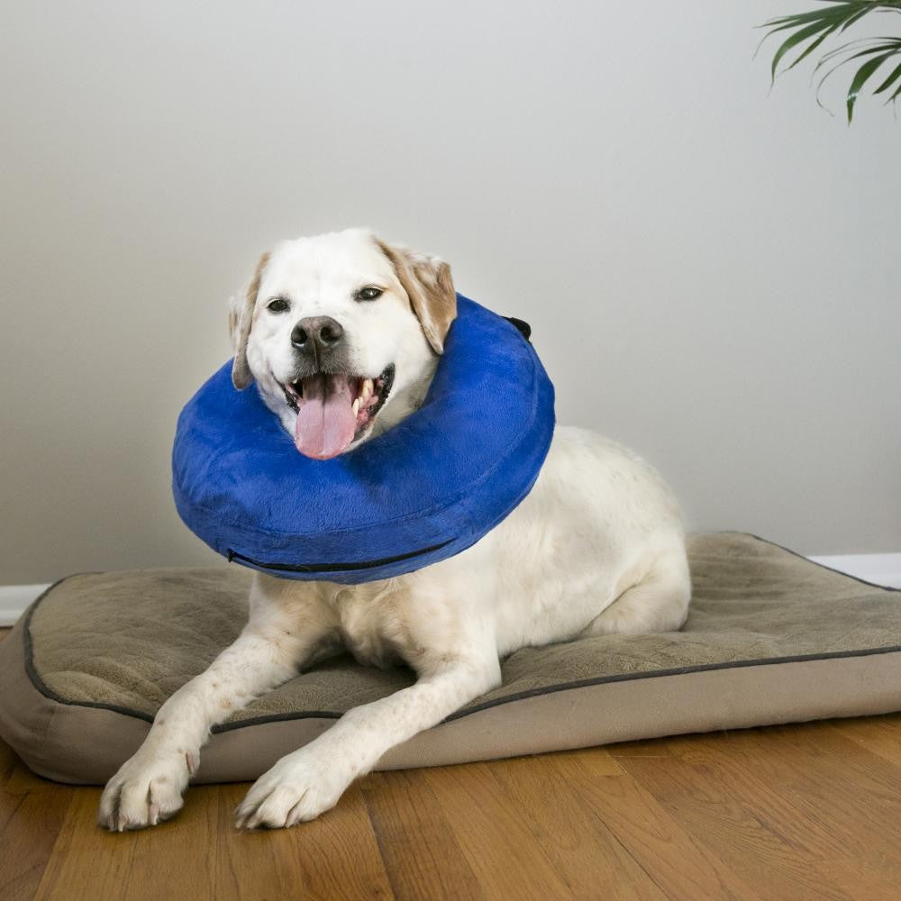 KONG Cloud Injury Collar