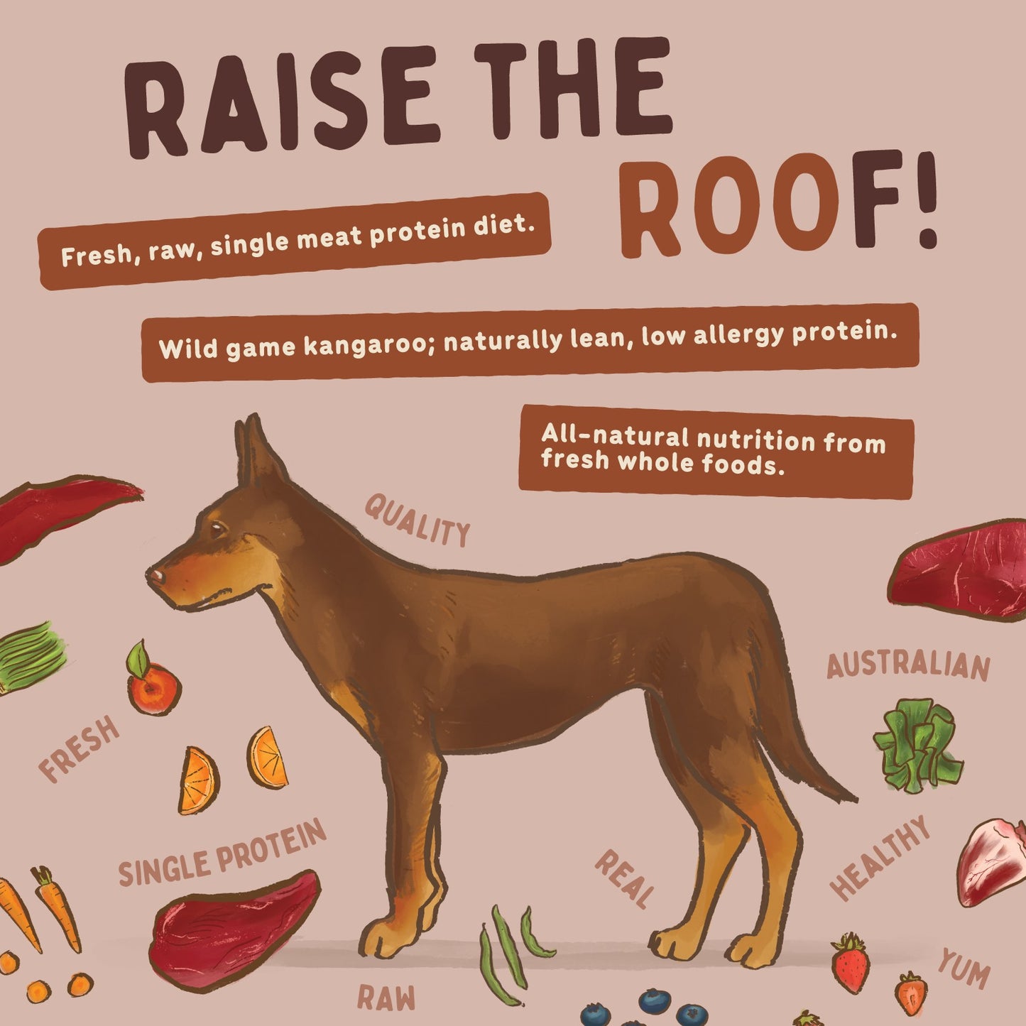 Big Dog BARF Kangaroo Raw Dog Food