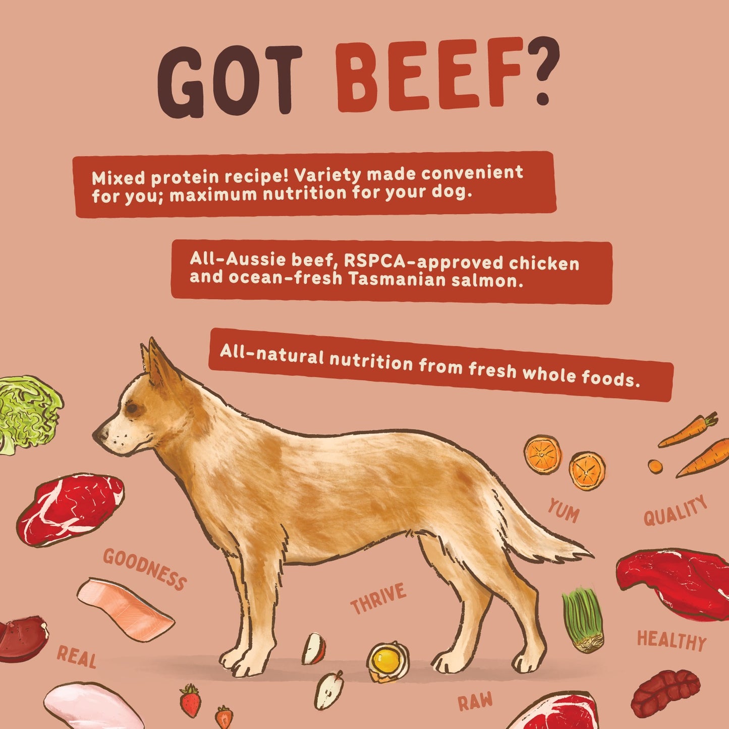 Big Dog BARF Beef Raw Dog Food