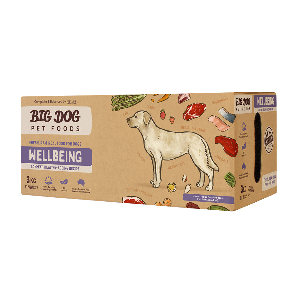 Big Dog BARF Wellbeing For Dogs 3kg