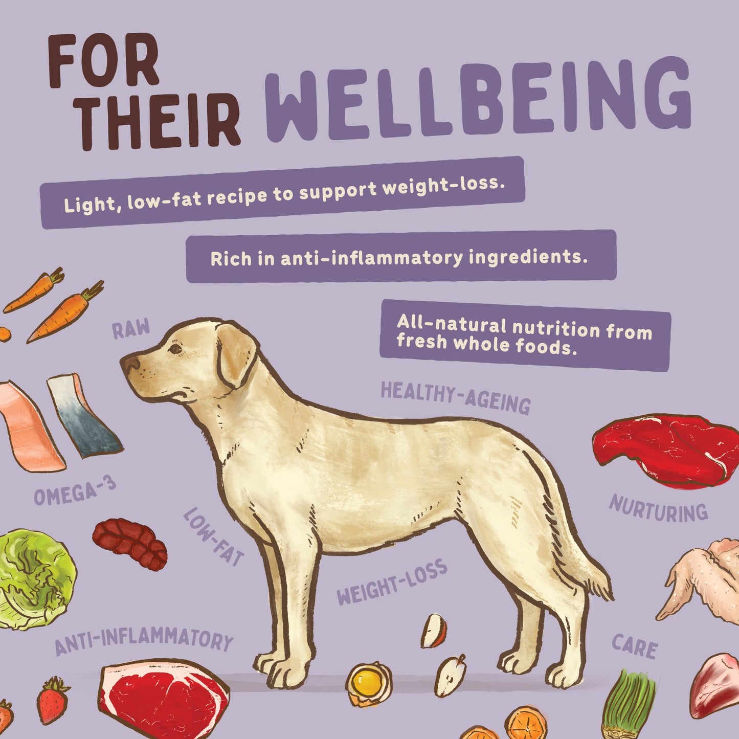 Big Dog BARF Wellbeing Diet Raw Dog Food