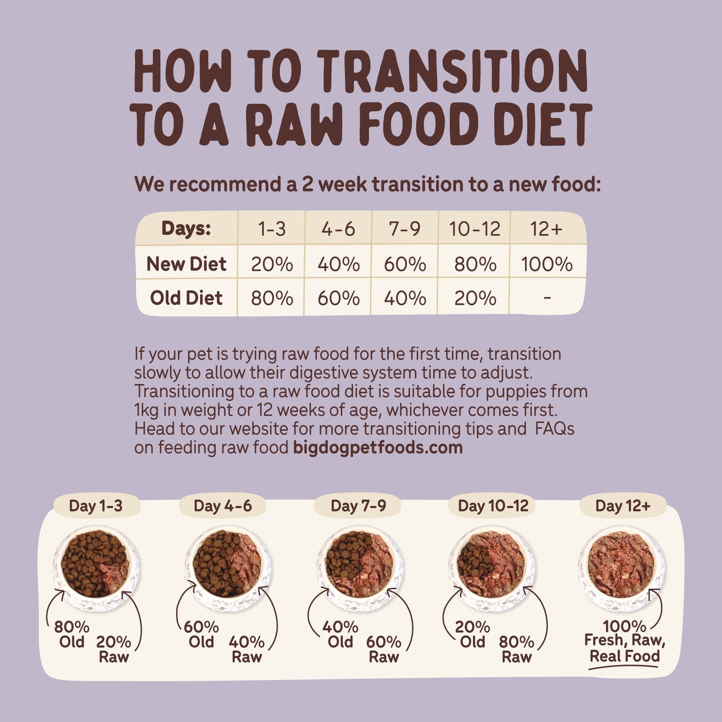 Big Dog BARF Wellbeing Diet Raw Dog Food