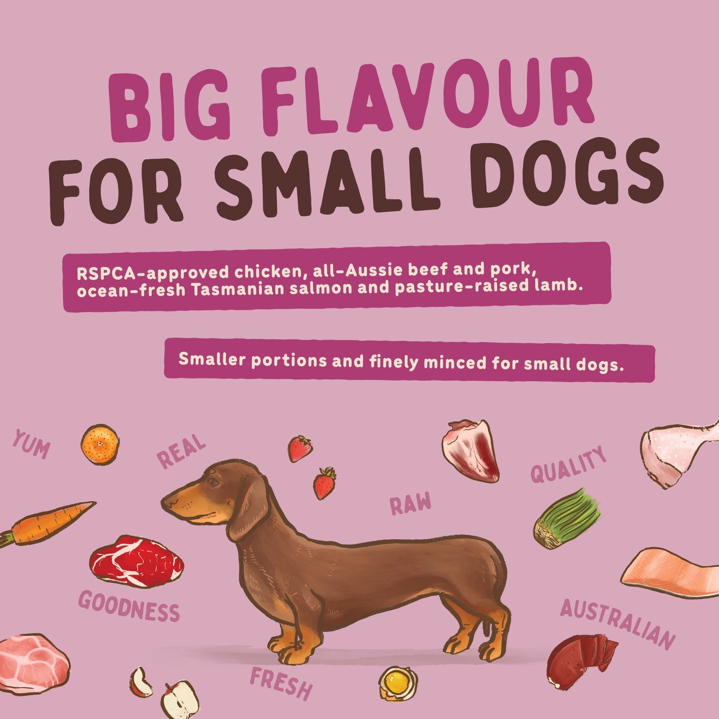 Big Dog BARF Small Dog Combo Raw Dog Food