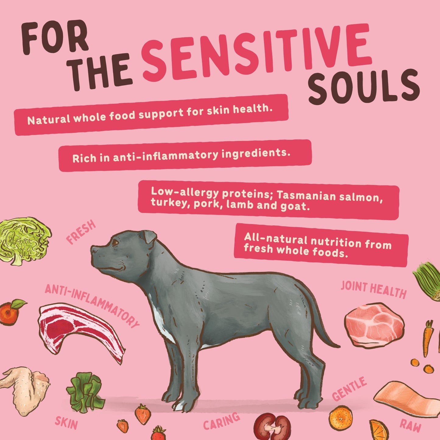 Big Dog BARF Sensitive Skin Diet Raw Dog Food