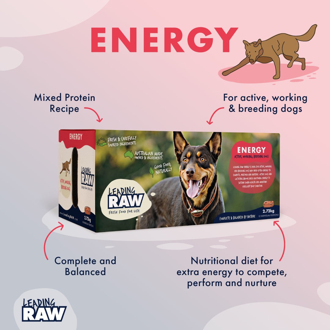 Leading Raw BARF Energy Life Stage Diet Frozen Dog Food