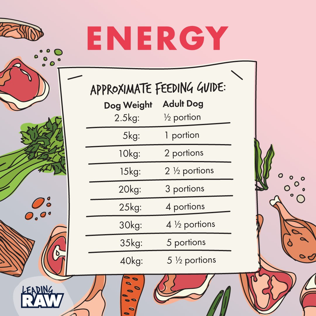 Leading Raw BARF Energy Life Stage Diet Frozen Dog Food