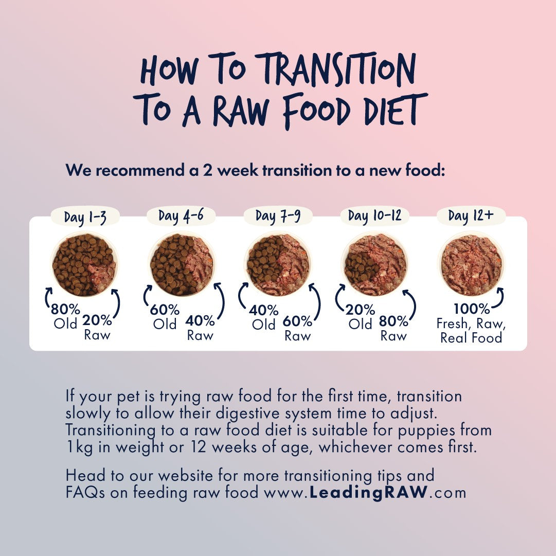 Leading Raw BARF Energy Life Stage Diet Frozen Dog Food