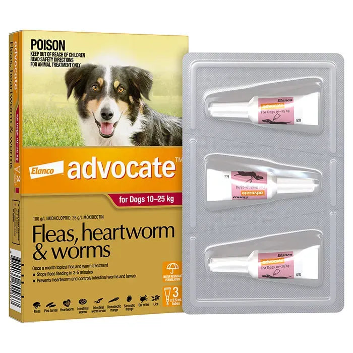 Advocate Flea & Worming Treatment 10-25kg Dog