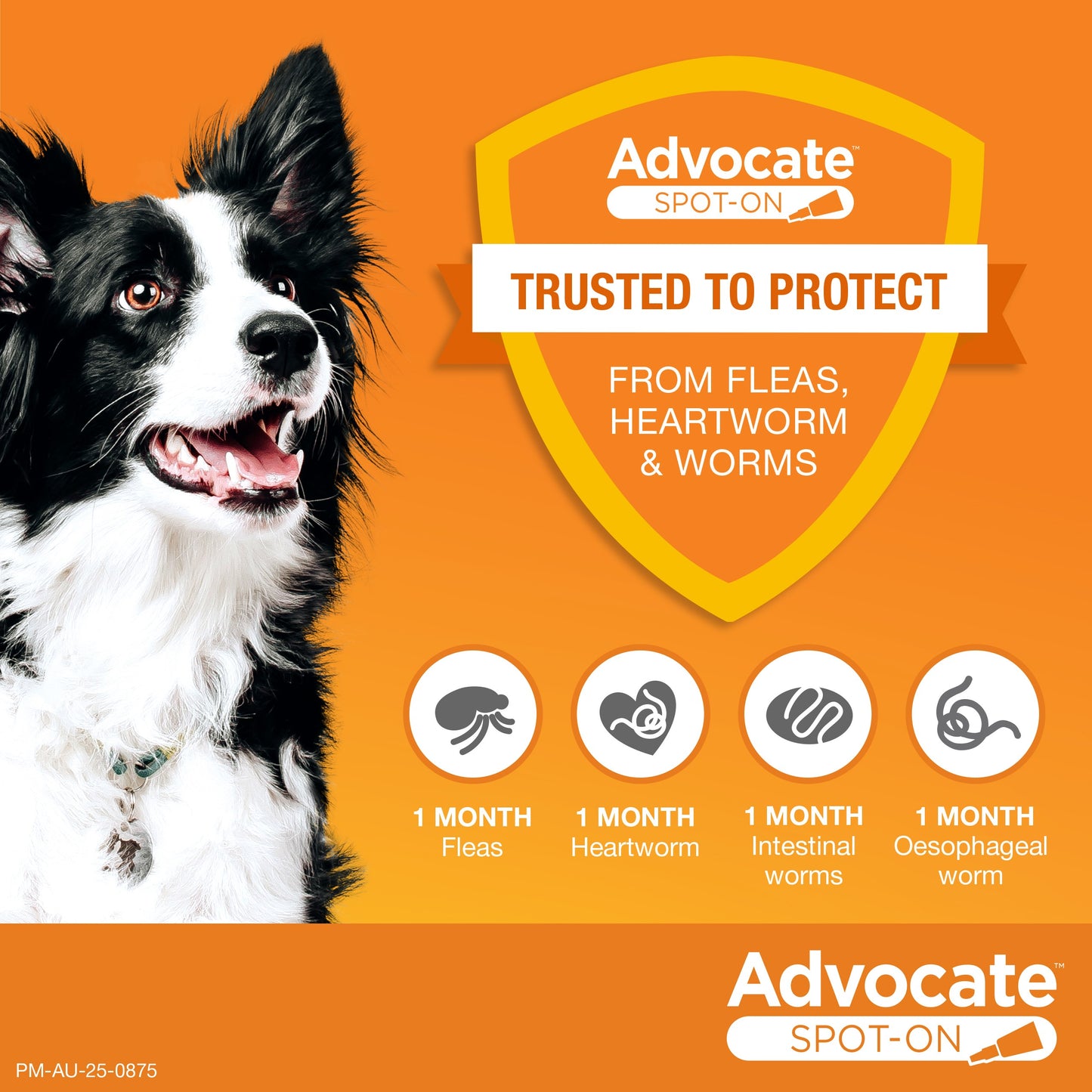 Advocate Red Spot-On Flea & Worming Treatment 10-25kg Dog