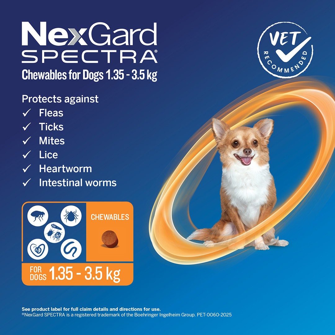 NexGard Spectra Extra Small Breed 1.35-3.5kg Flea, Tick & Worming Dog Chews