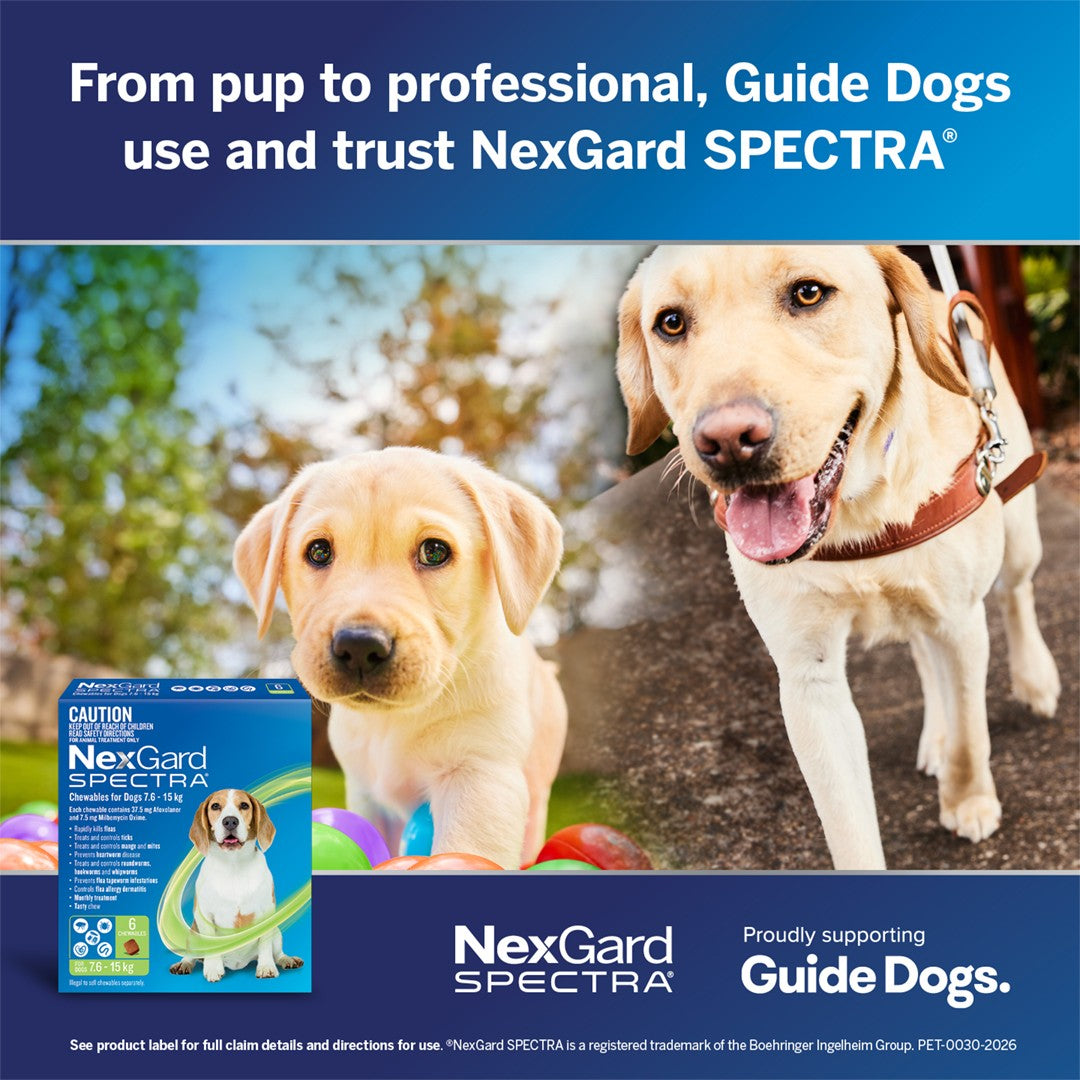 NexGard Spectra Extra Large Breed 30.1-60kg Flea, Tick & Worming Dog Chews