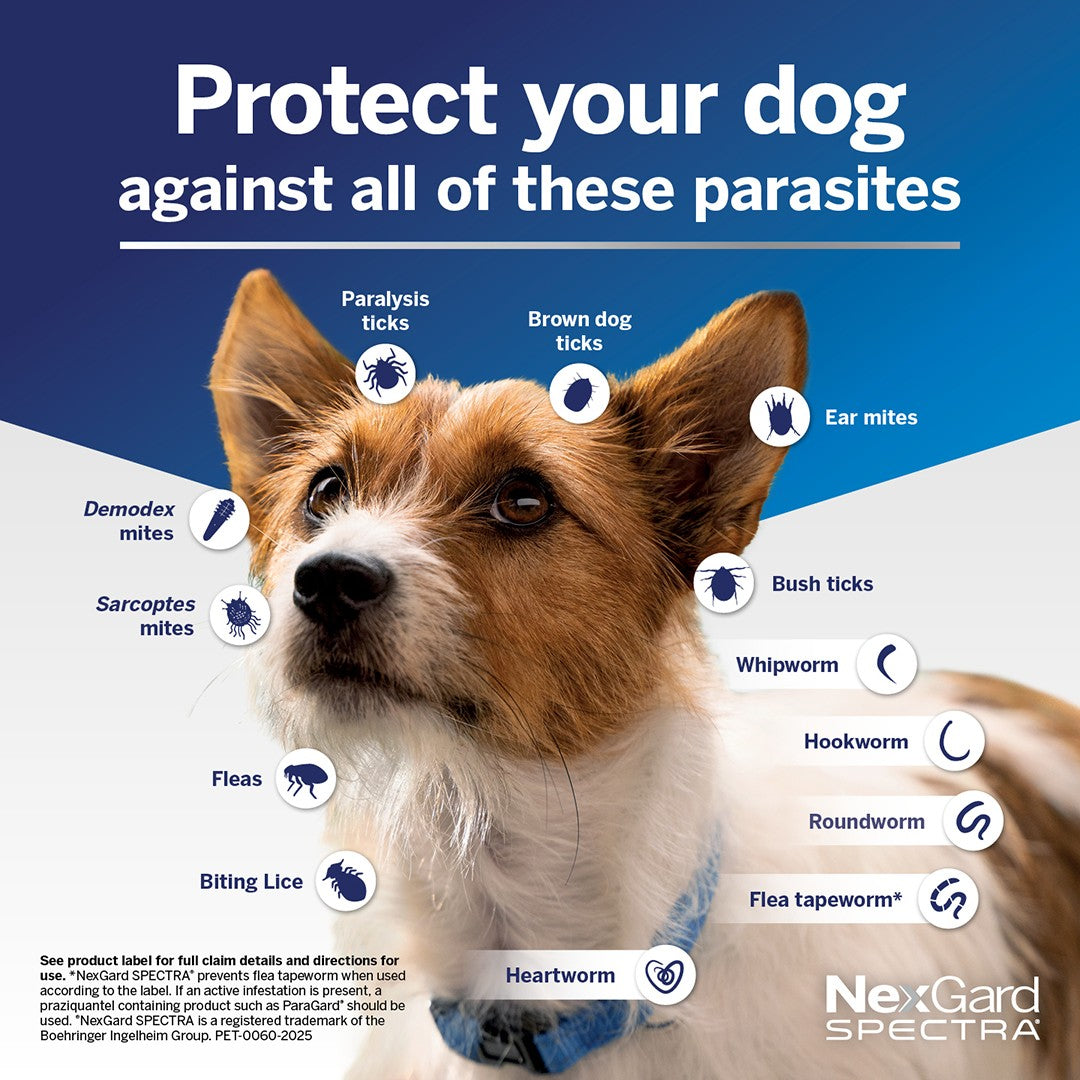 NexGard Spectra Extra Small Breed 1.35-3.5kg Flea, Tick & Worming Dog Chews
