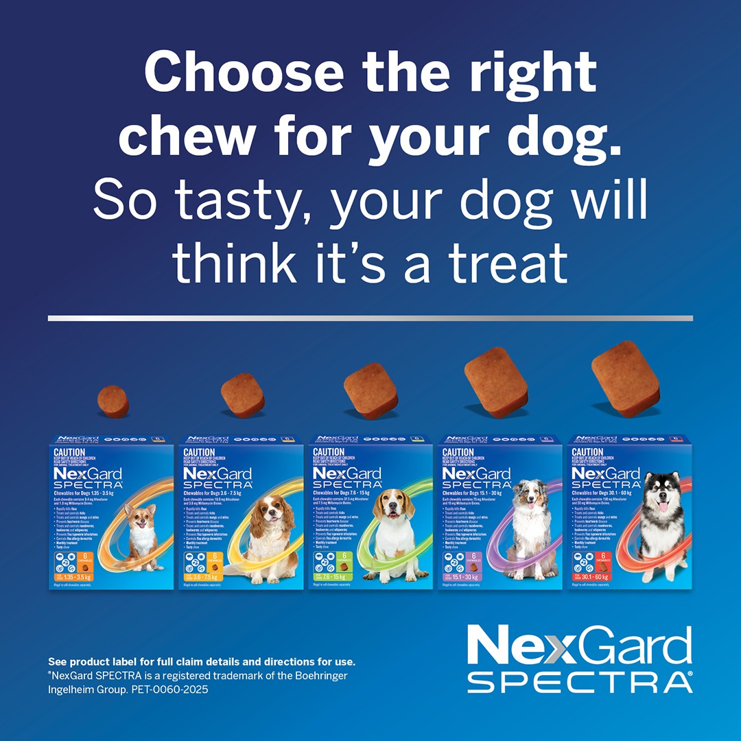 NexGard Spectra Small Breed 3.6-7.5kg Flea, Tick & Worming Dog Chews